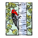 POM Molly Hashimoto: Birds 2027 Wall Calendar