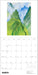 POM Georgia O'Keeffe 2027 Wall Calendar