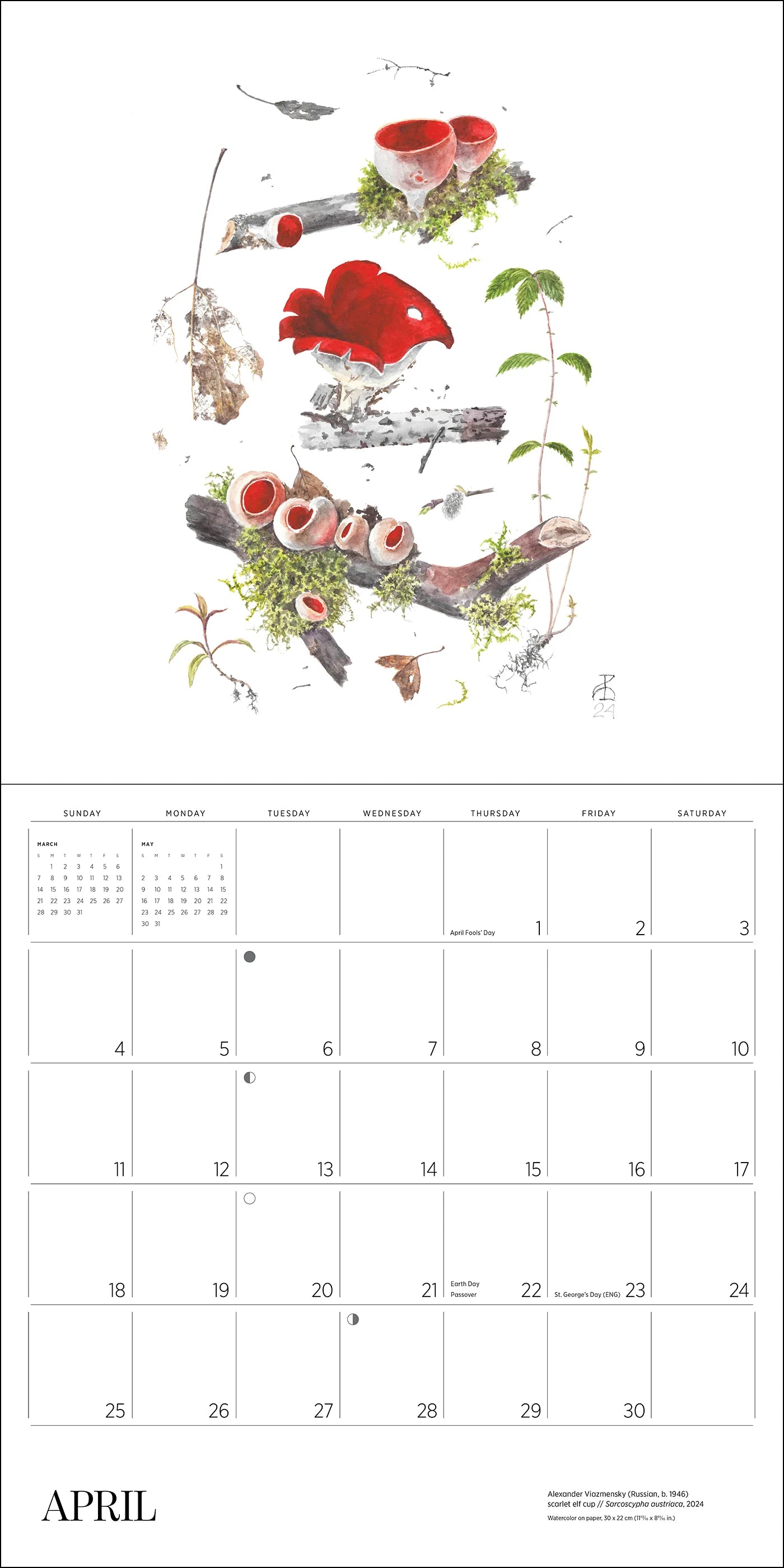 POM Mushrooms: Alexander Viazmensky 2027 Wall Calendar