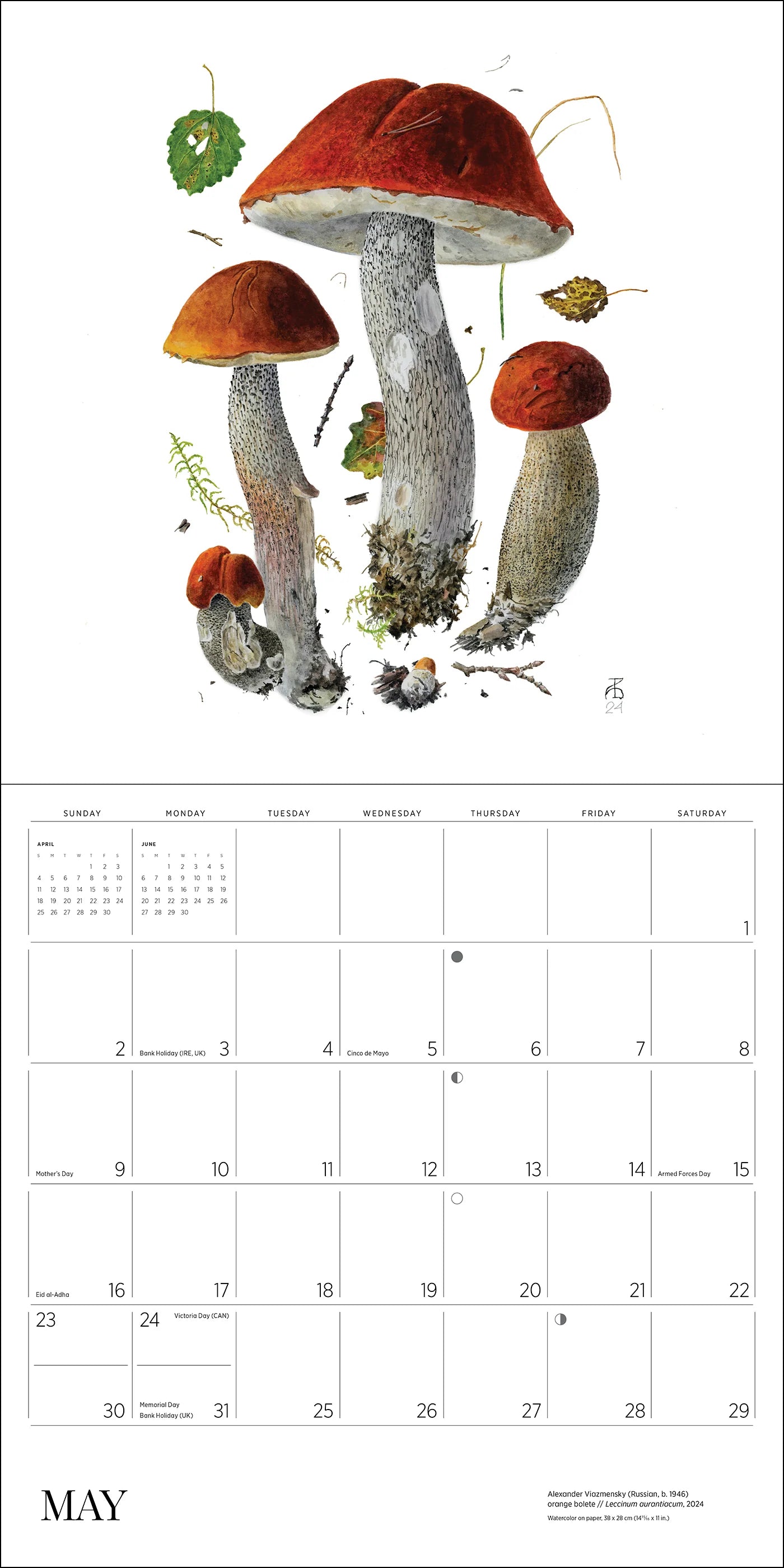 POM Mushrooms: Alexander Viazmensky 2027 Wall Calendar