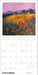 POM Scotland: The Art of Deborah Phillips 2027 Wall Calendar