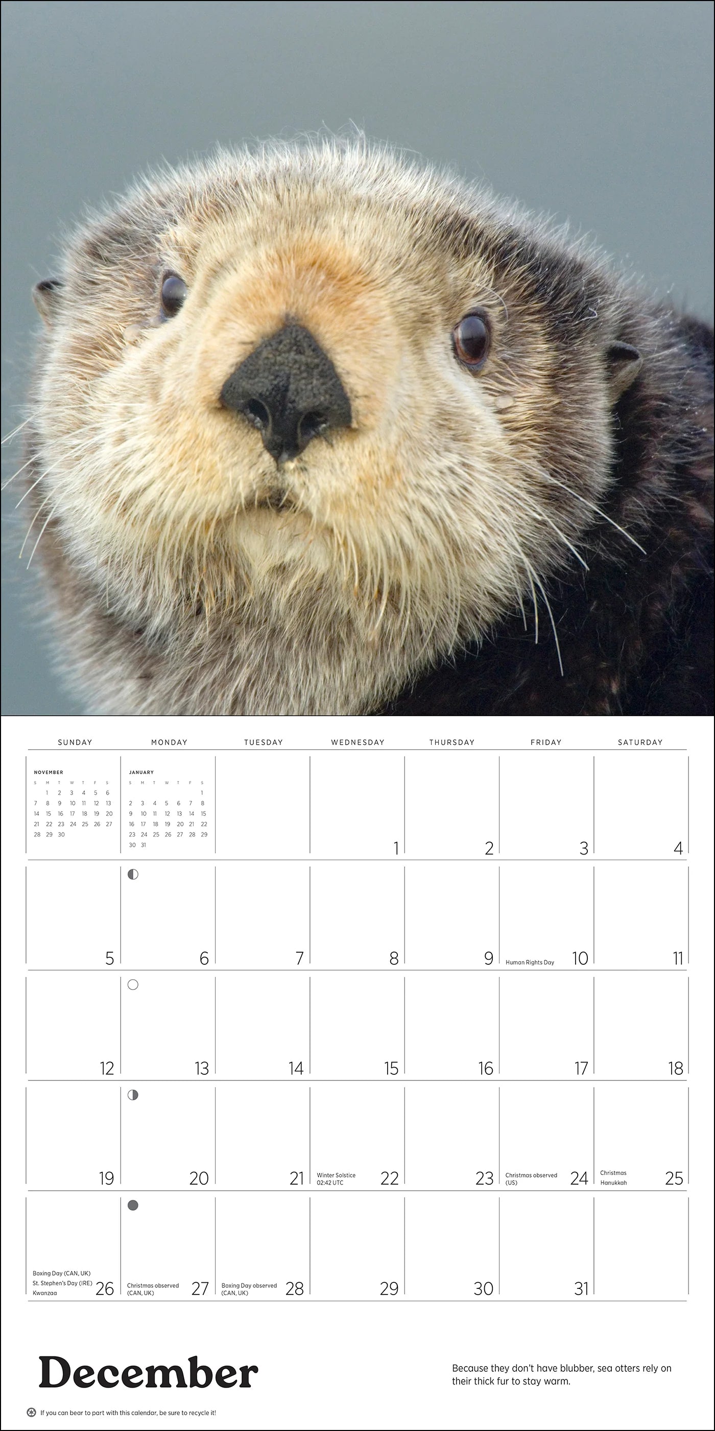 POM Sea Otters: Photographs by Tom and Pat Leeson 2027 Wall Calendar