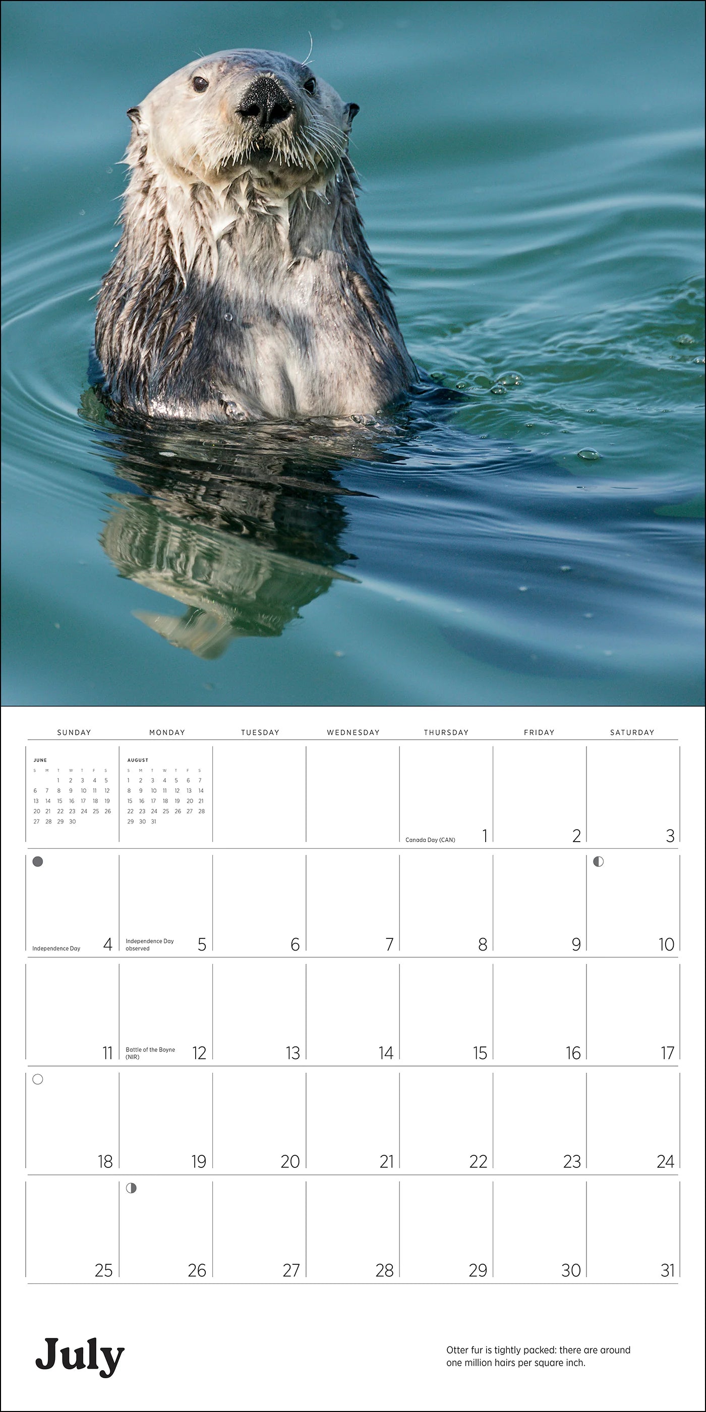 POM Sea Otters: Photographs by Tom and Pat Leeson 2027 Wall Calendar