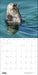POM Sea Otters: Photographs by Tom and Pat Leeson 2027 Wall Calendar