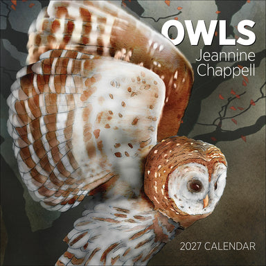 POM Owls: Jeannine Chappell 2027 Wall Calendar