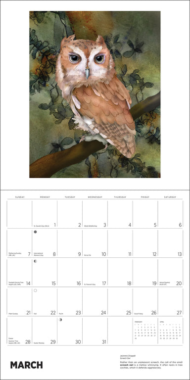 POM Owls: Jeannine Chappell 2027 Wall Calendar