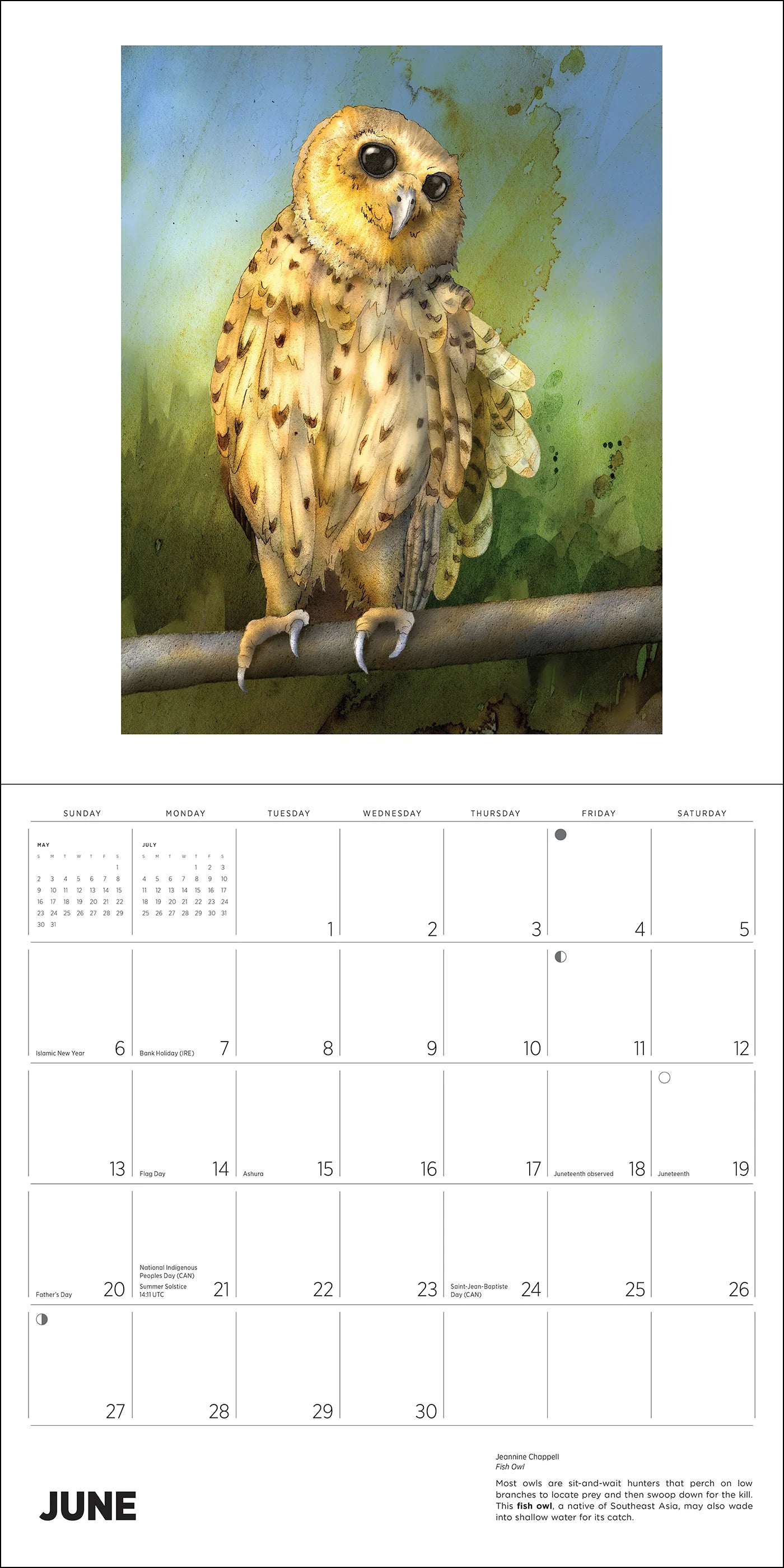 POM Owls: Jeannine Chappell 2027 Wall Calendar