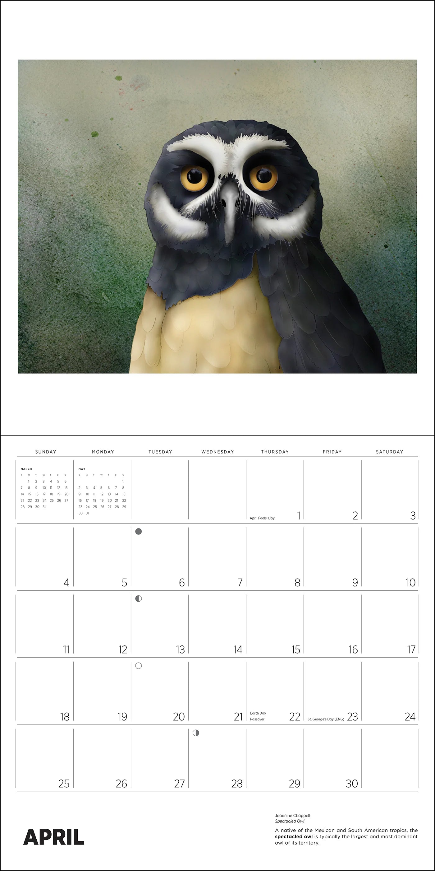 POM Owls: Jeannine Chappell 2027 Wall Calendar