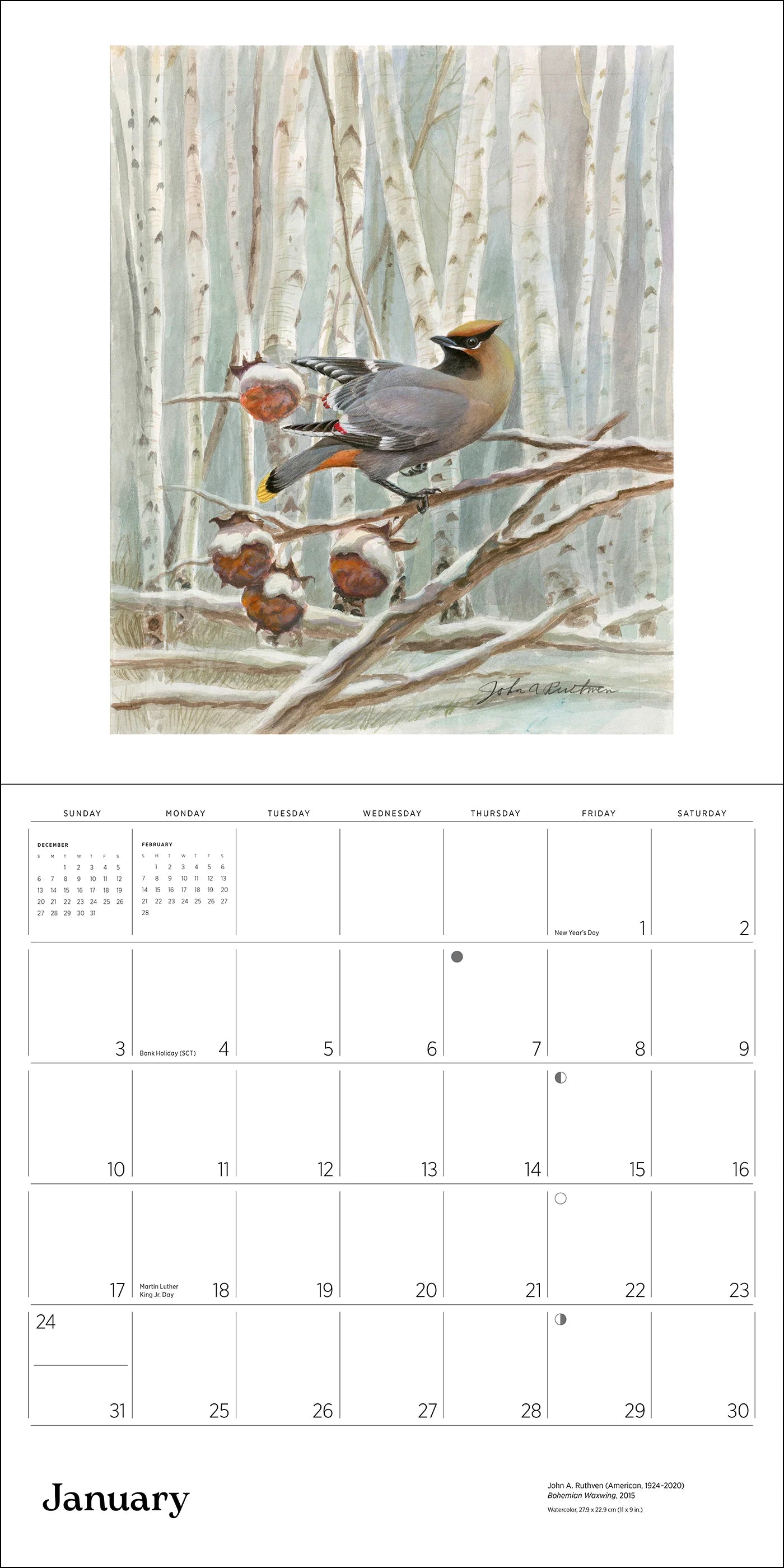 POM A Birder's View: Paintings by John A. Ruthven 2027 Wall Calendar