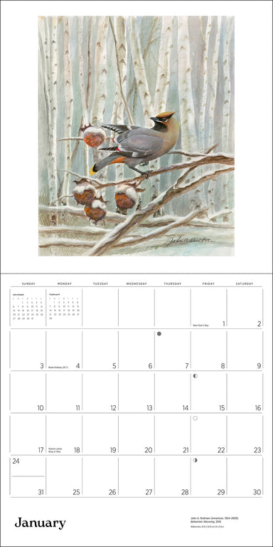 POM A Birder's View: Paintings by John A. Ruthven 2027 Wall Calendar