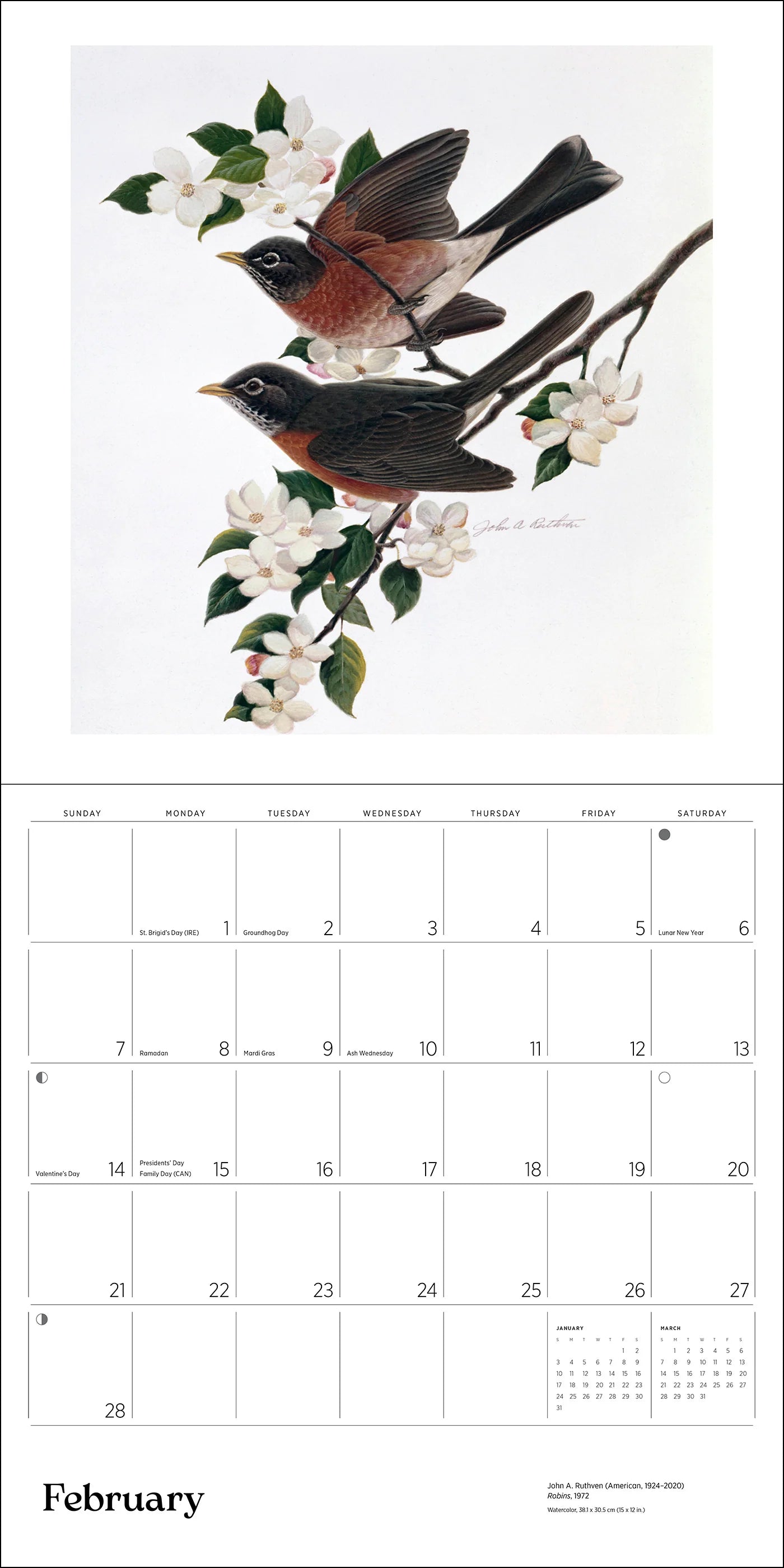 POM A Birder's View: Paintings by John A. Ruthven 2027 Wall Calendar