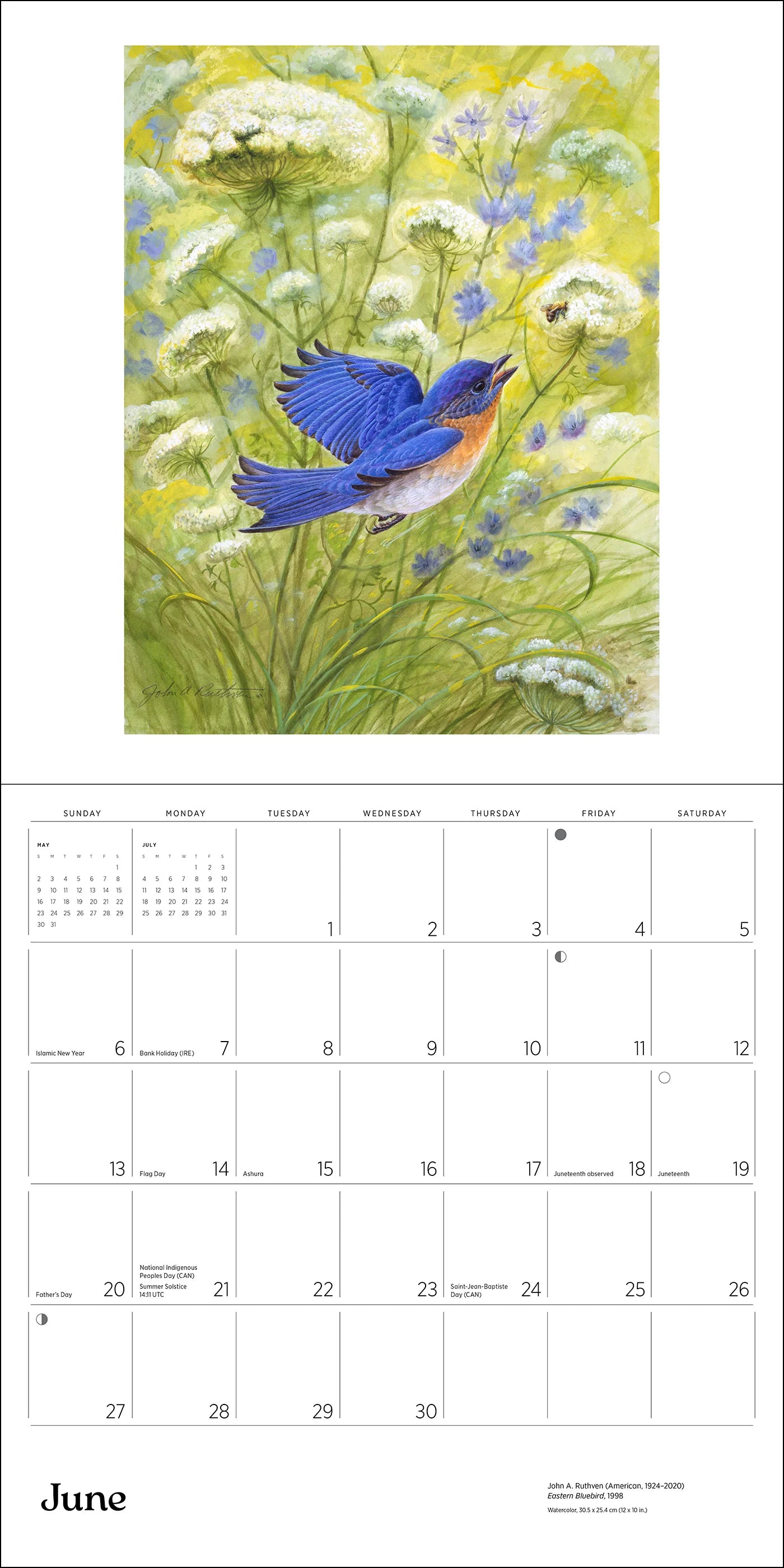 POM A Birder's View: Paintings by John A. Ruthven 2027 Wall Calendar
