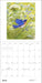 POM A Birder's View: Paintings by John A. Ruthven 2027 Wall Calendar
