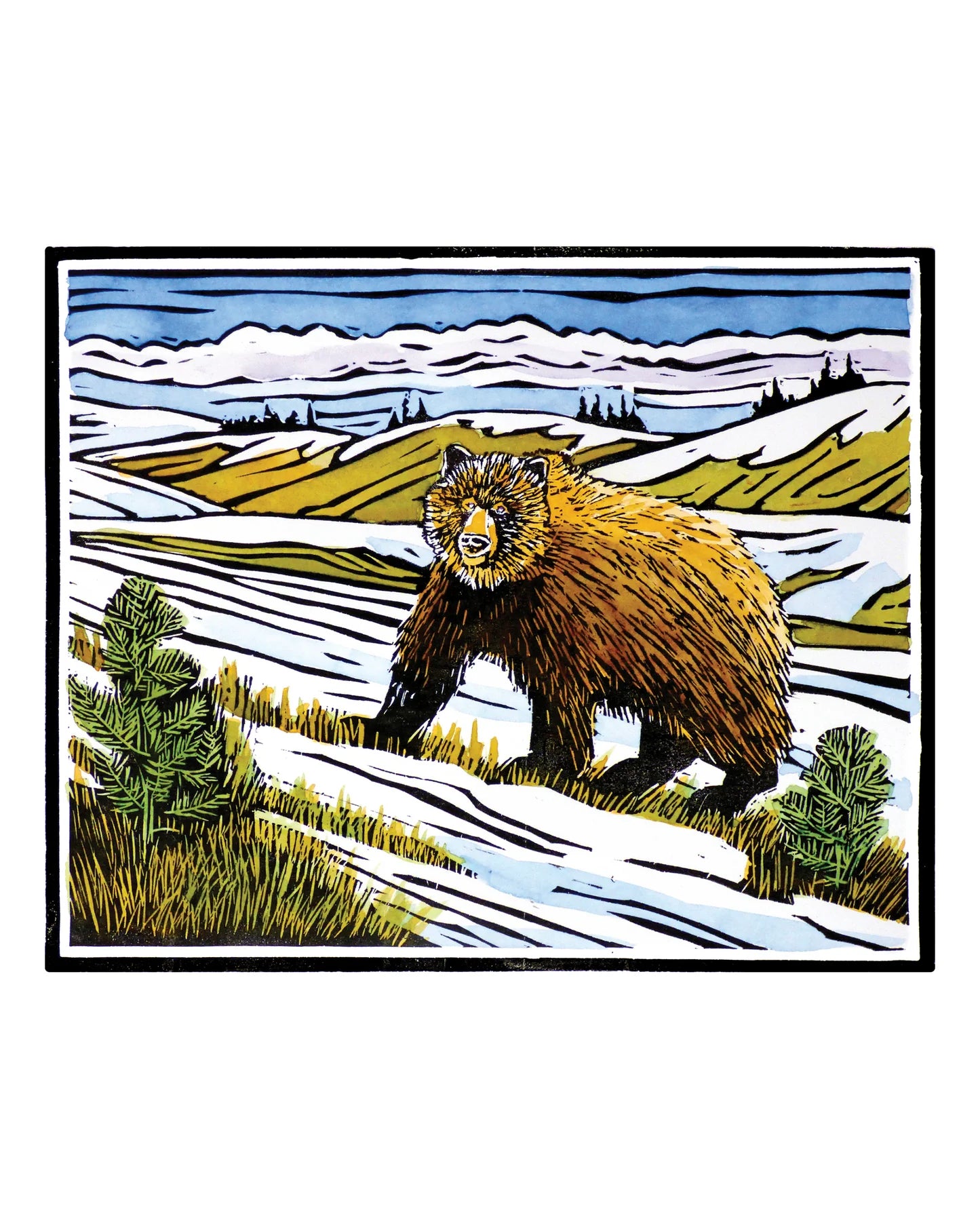 POM Molly Hashimoto: Wildlife 2027 Mini Wall Calendar