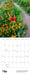POM Monet's Passion: The Gardens at Giverny 2027 Mini Wall Calendar