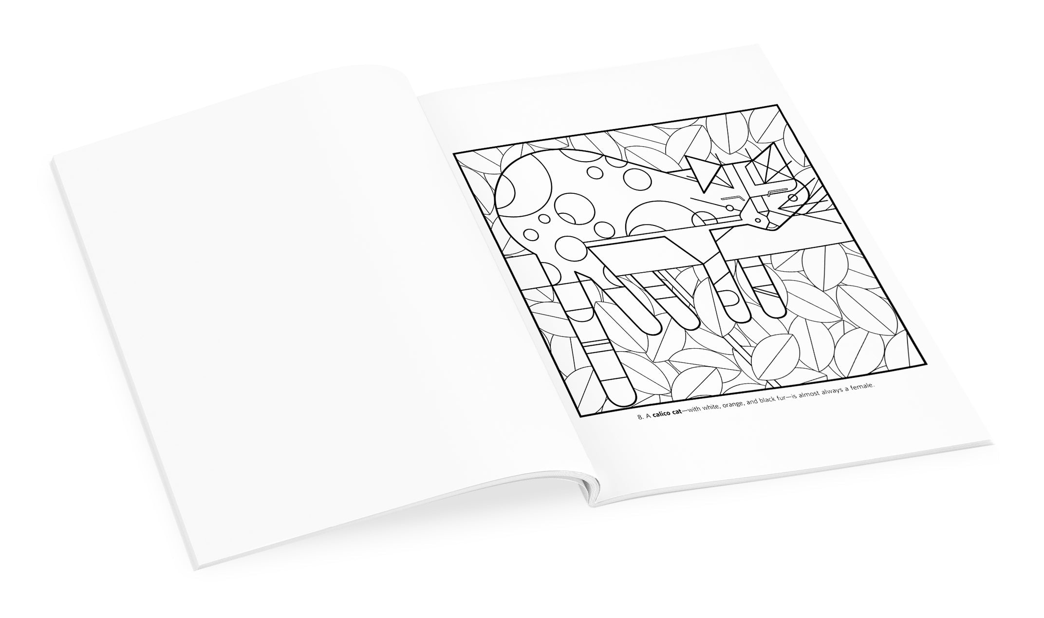 Charley Harper Volume 1 Coloring Book    