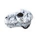 Chomp and Go Dino Skull Pull Back - T-Rex or Triceratops    