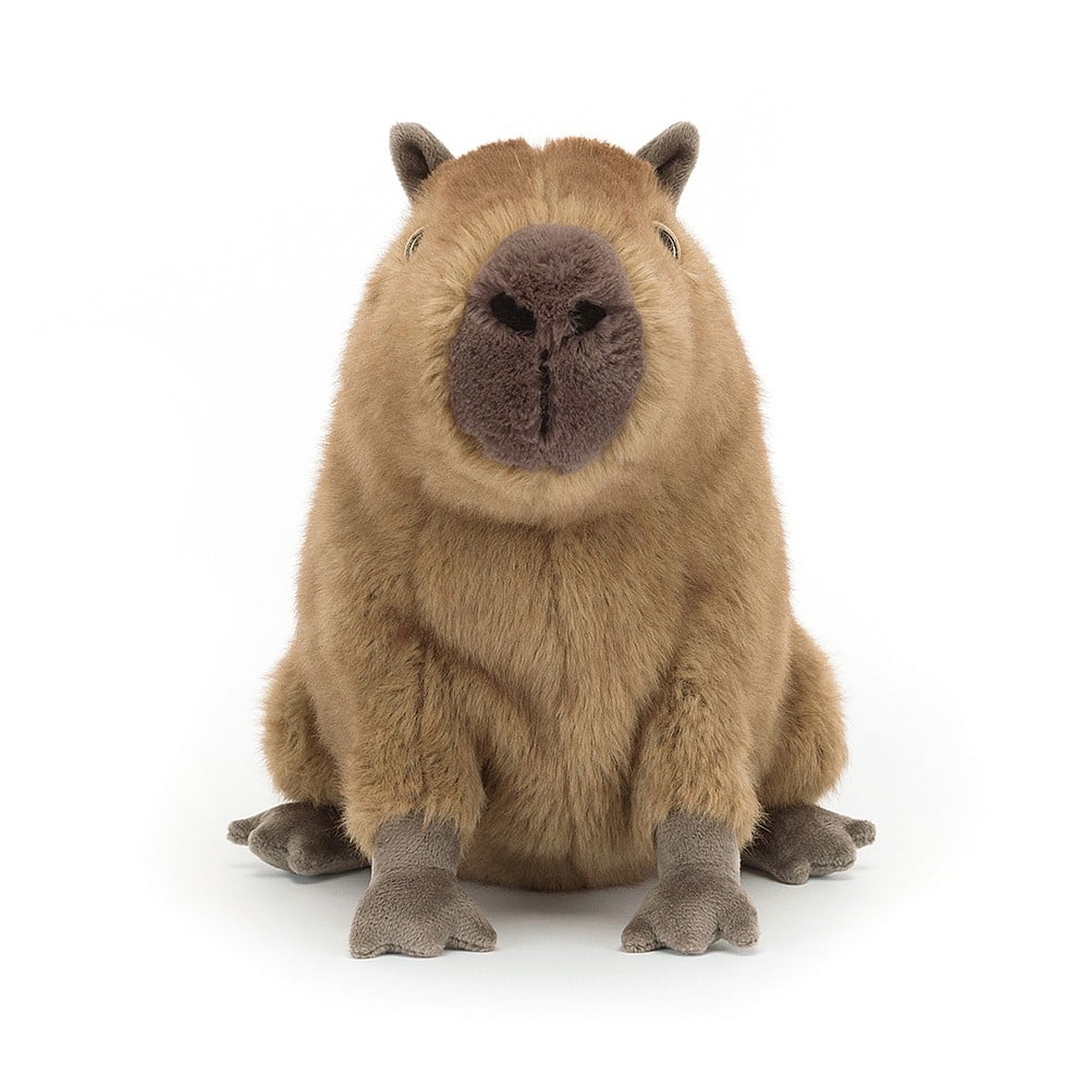 Jellycat Clyde Capybara    