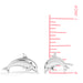 Boma Sterling Silver Dolphin Post Earrings