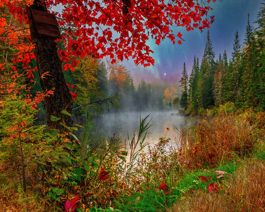 Early Dawn on The Lake 1000 Piece Puzzle
