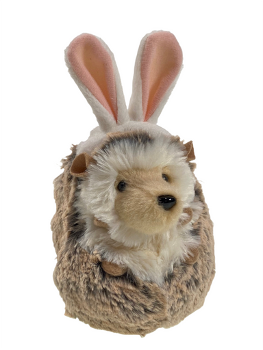 Spunky Hedgehog With Bunny Ears    
