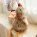 Mon Ami Chester Chicken