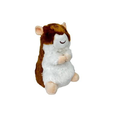 Brushy Hamster