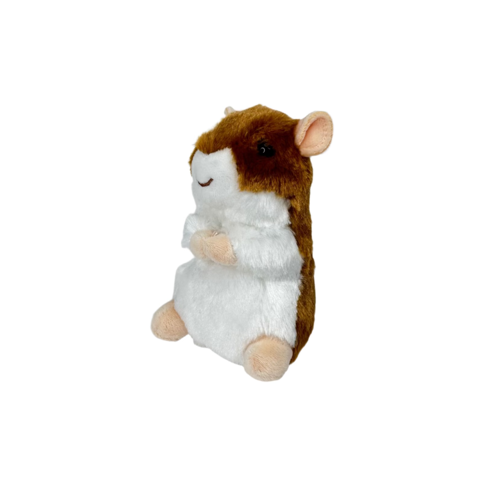 Brushy Hamster