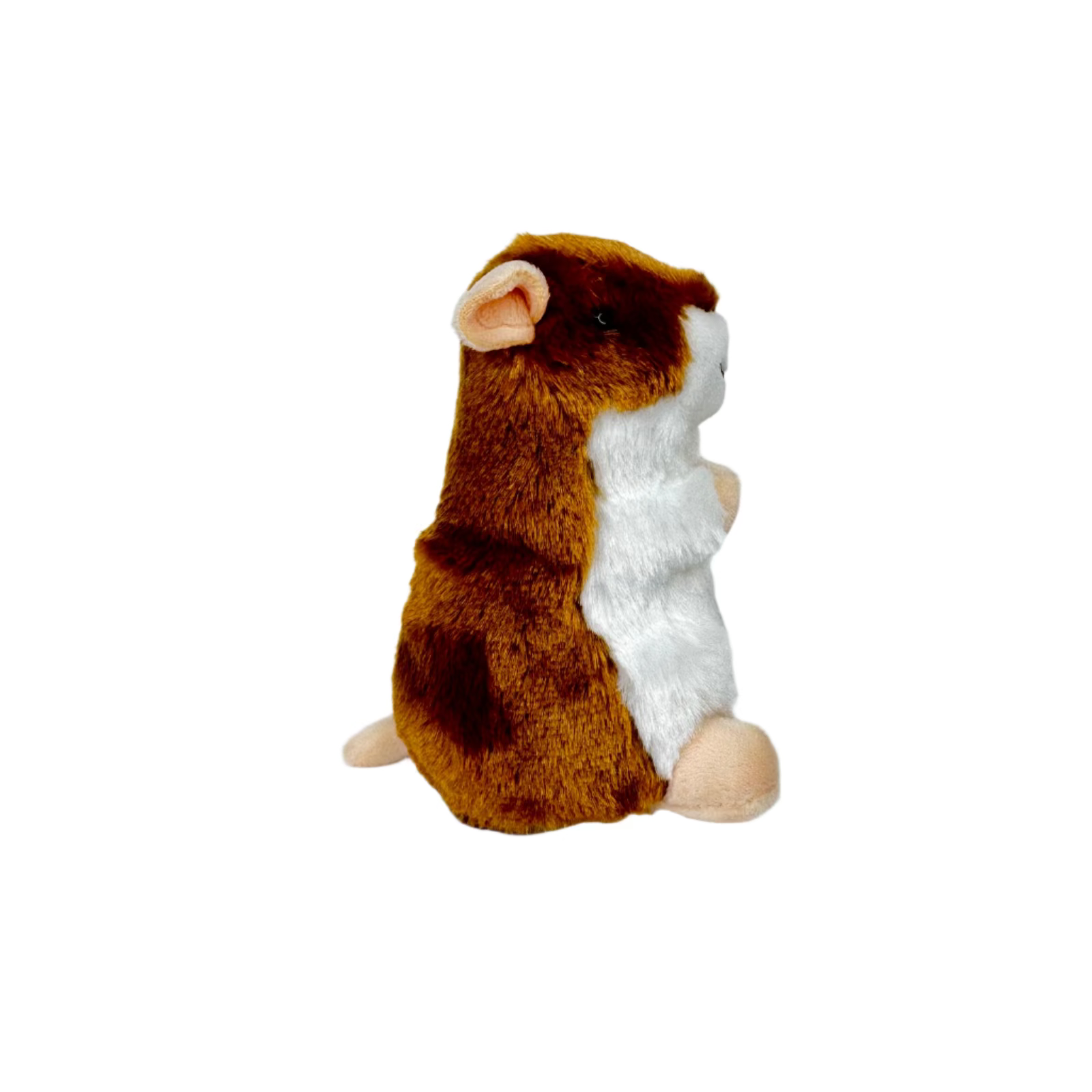 Brushy Hamster