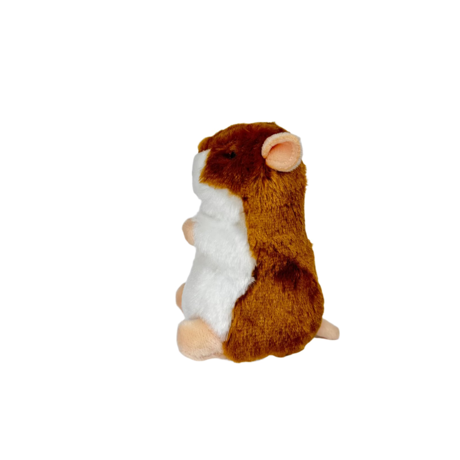Brushy Hamster