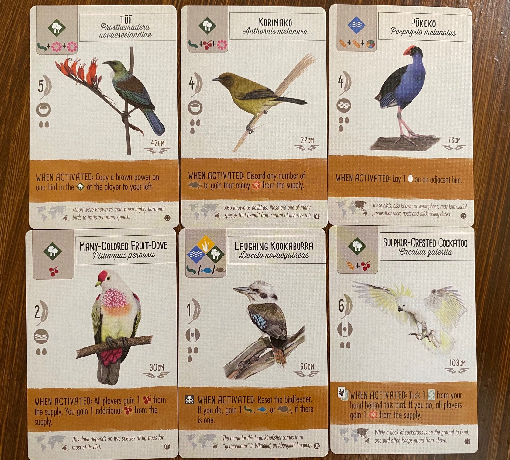 Stonemaier Games Wingspan Oceania Expansion