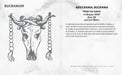 An Architectural Vocabulary Knowledge Cards
