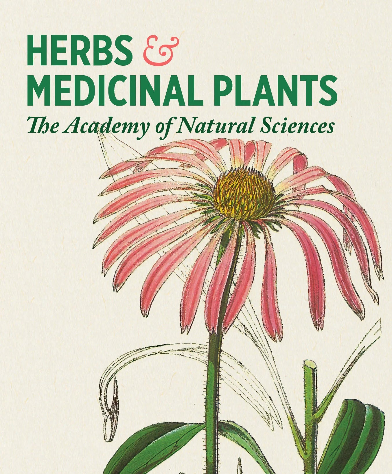 Knowledge Cards - Herbs and Medicinal Plants