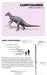 Knowledge Cards - Dinosaurs