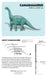 Knowledge Cards - Dinosaurs