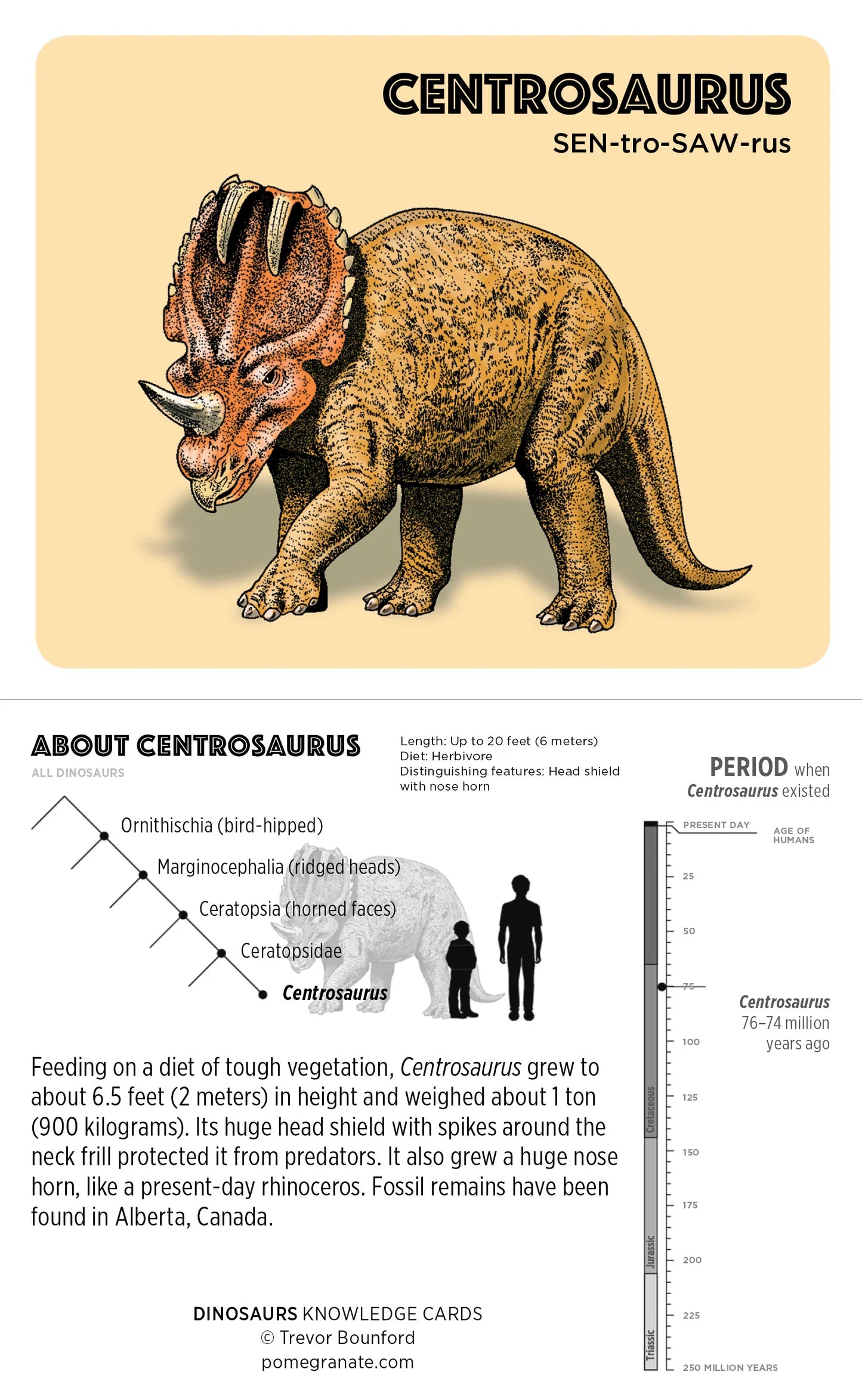 Knowledge Cards - Dinosaurs