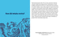 Knowledge Cards - Evolutionary Curiosities
