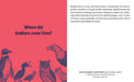 Knowledge Cards - Evolutionary Curiosities