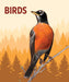Birds Knowledge Cards
