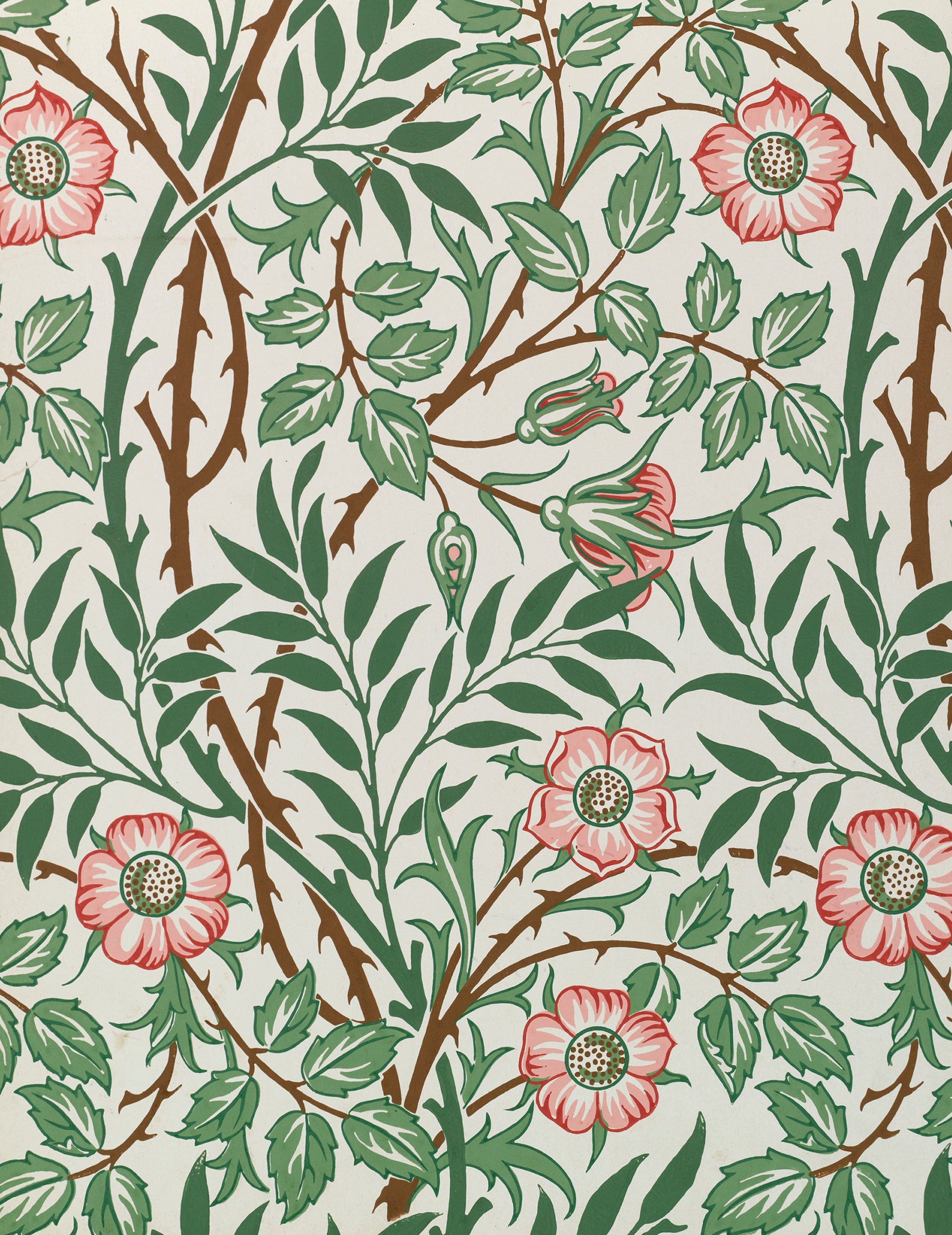 William Morris Keepsake Box Assorted Blank Note Cards    