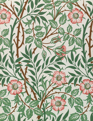 William Morris Keepsake Box Assorted Blank Note Cards    