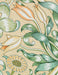 William Morris Keepsake Box Assorted Blank Note Cards    