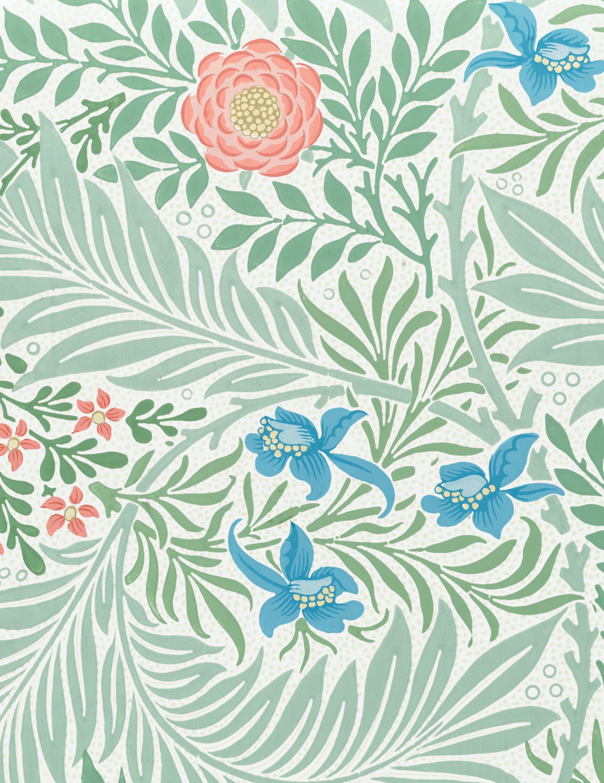 William Morris Keepsake Box Assorted Blank Note Cards    