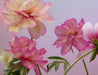 Doan Ly Keepsake Boxed Assorted Note Cards