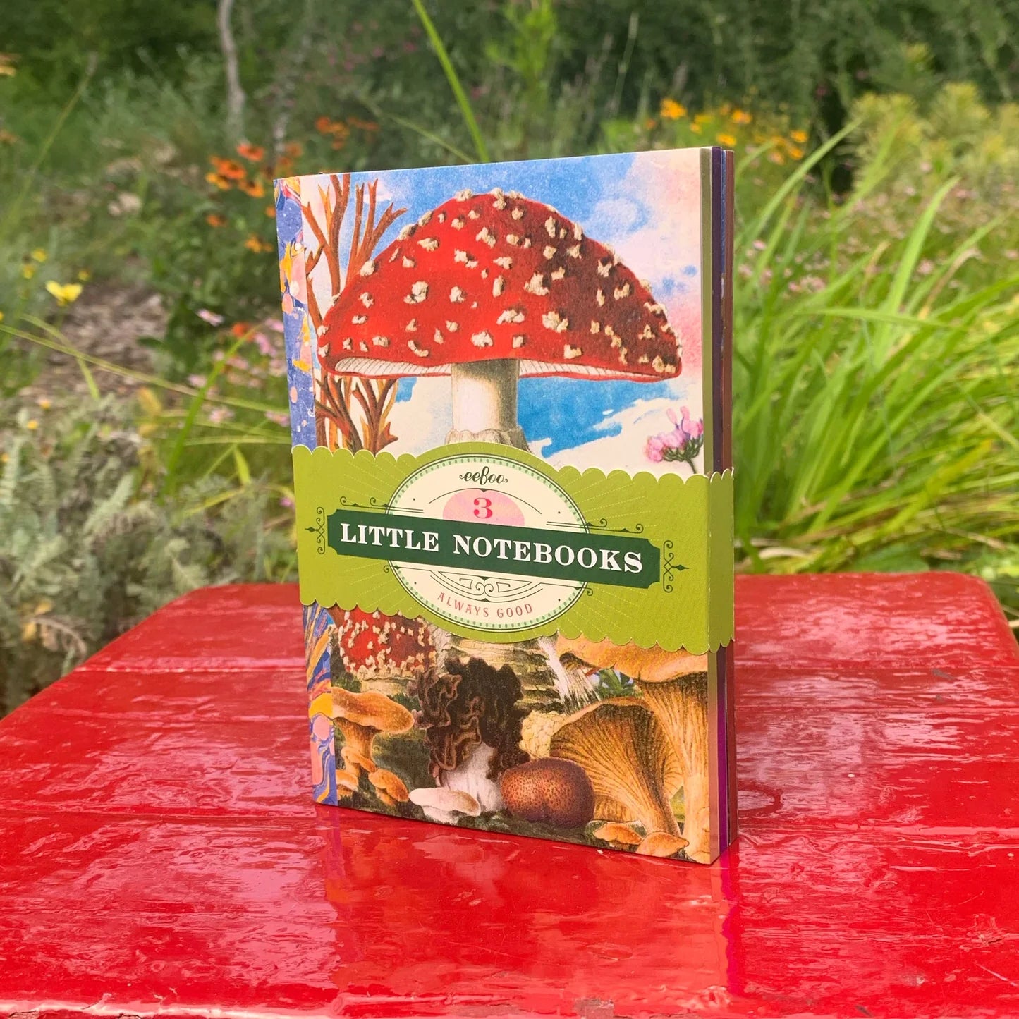 Fumiha's Mushrooms - Set of 3 Little Notebooks