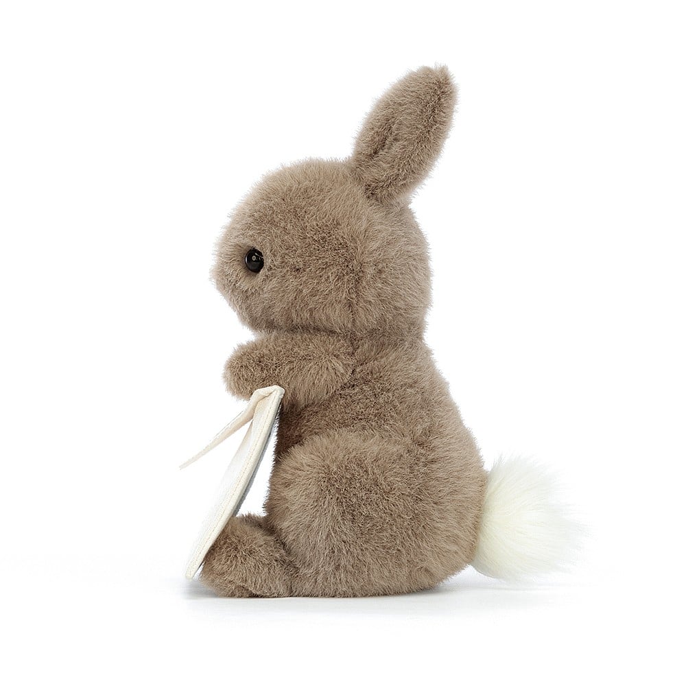 Jellycat Messenger Bunny    
