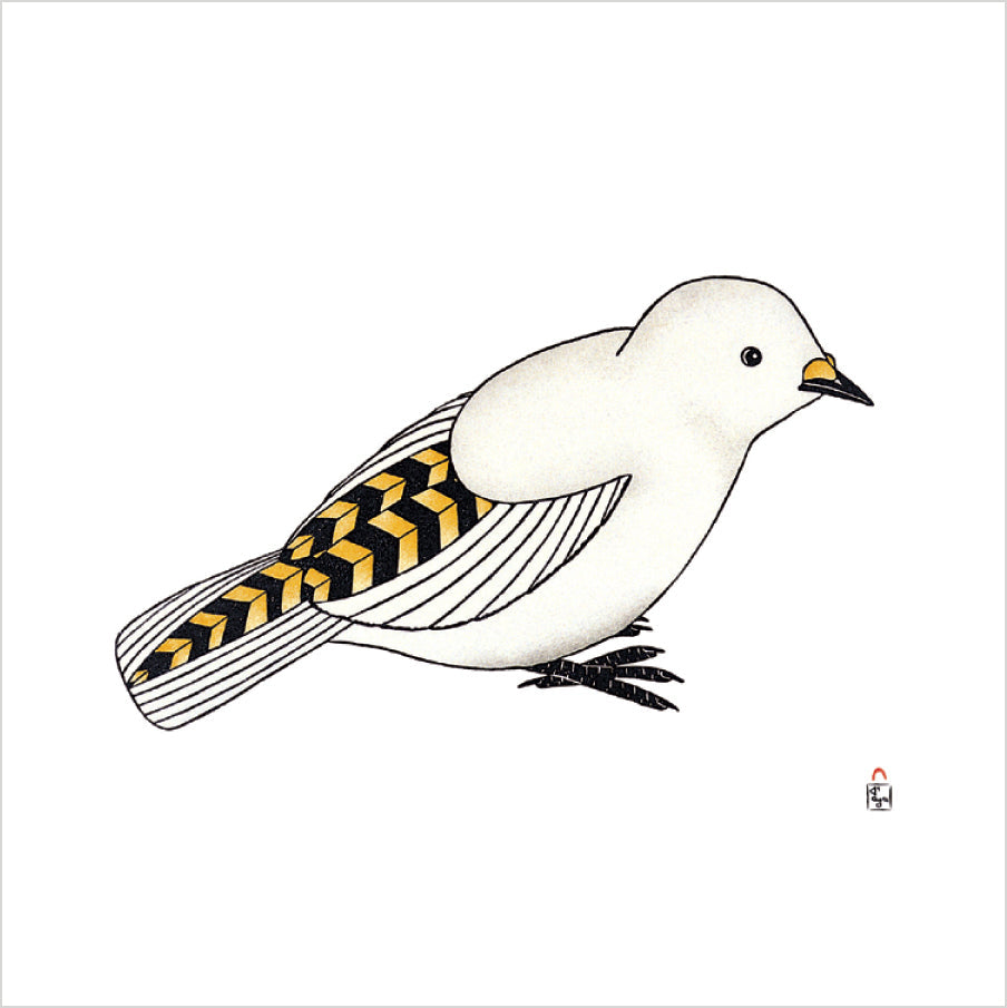 Arctic Animals from Kinngait Memory Game