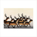 Arctic Animals from Kinngait Memory Game