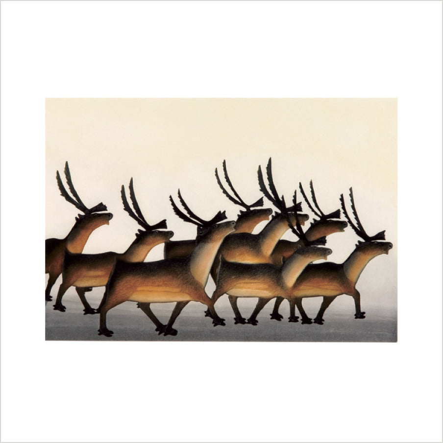 Arctic Animals from Kinngait Memory Game