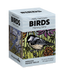 Molly Hashimoto: Birds Memory Game